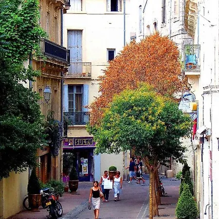 Grand Bleu Vacances - L'oliveraie - Montpellier Sud * Lattes