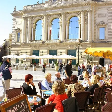Grand Bleu Vacances - L'oliveraie - Montpellier Sud *